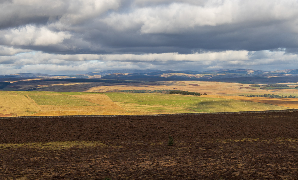 The Cheviot The Cheviot